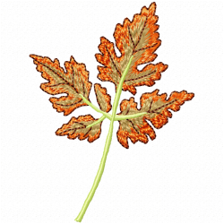 Leaves Embroidery Design 8